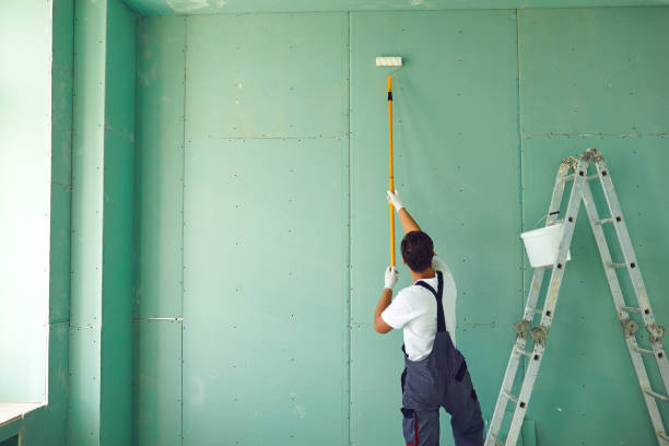 Best Mold Odor Removal Services  in Mogadore, OH