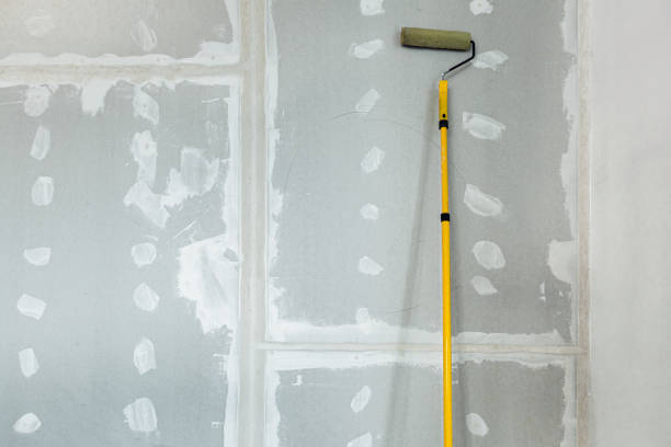 Best Environmental Consulting for Mold Prevention  in Mogadore, OH