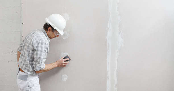 Best Emergency Mold Remediation  in Mogadore, OH