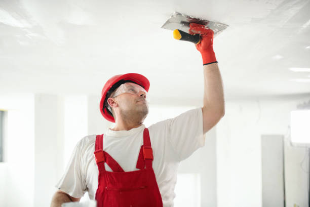 Trusted Mogadore, OH Mold Removal Experts
